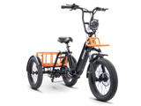 ENVO FLEX TRIKE